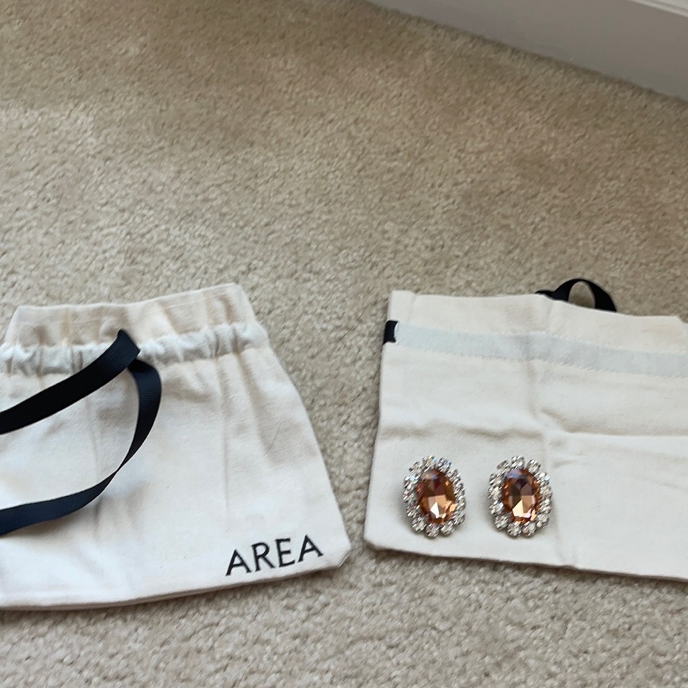 Area earring